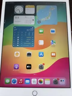 お*つ様 Apple iPad 10.2インチ シルバー