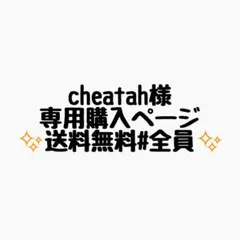 cheatah様 リクエスト 4点 まとめ商品