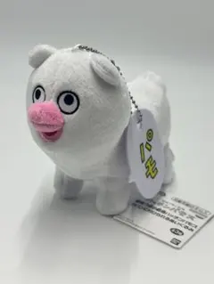 2025年最新】ハッチンパモスの人気アイテム - メルカリ