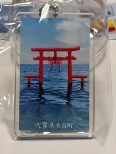 Item thumbnail for item e8a40a33-f289-4ecf-833f-ba95071bbc3d