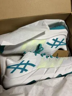 ASICS UNPRE ARS LOW 2 25.0cm