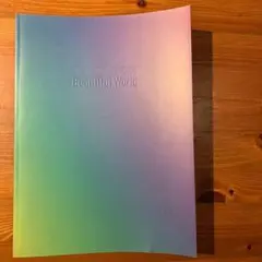 嵐 コンサート グッズ パンフレット Beautiful World