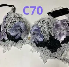 2025年最新】サルート ブラジャー c70の人気アイテム - メルカリ