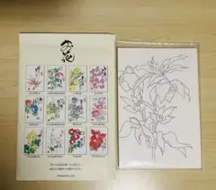 おとなのぬり絵手紙 ポインセチア　絵葉書　塗り絵