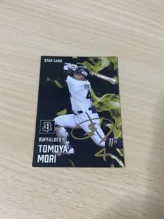 Item thumbnail for item 516cd316-b540-4dad-b95f-f478ace95920