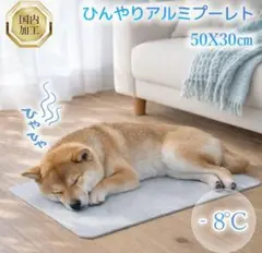 ペット用 ひんやりプレート 犬 猫 冷感 クールマット アルミ 50×30cmのサムネイル