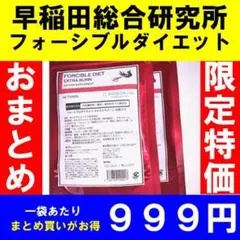 夏特価❗まとめ売り✨３袋６ヶ月分✨早稲田総合研究所ダイエットサプリのサムネイル
