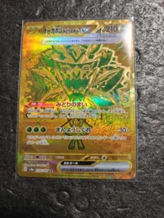 オーガポンみどりのめんex ur