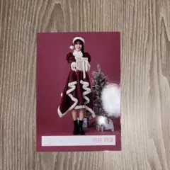 向井純葉 櫻坂46 2025年 サンタ衣装 生写真 ヒキ