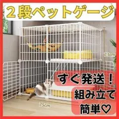 ゲージ