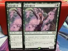 おば様 リクエスト 3点 まとめ商品