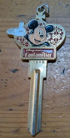 ミッキーマウス ブランクキー H248