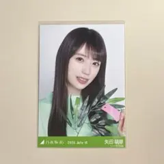 2026年最新】矢田萌華の人気アイテム - メルカリ