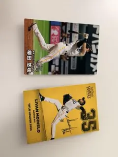 ソフトバンクホークス 選手カードセット 2025