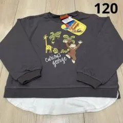 Item thumbnail for item 0282552e-11d0-44b4-8e2e-39da55c37a50