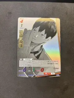 ハイキュー バボカ 最強の挑戦者 影山飛雄 SP