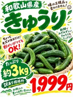 和歌山県産 訳あり・規格外きゅうり 約3kg 1,999円