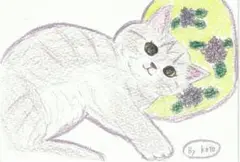 手描き猫のポストカードセット3