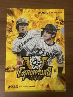 阪神タイガース 近本光司 赤星憲広 優勝記念クリアファイル