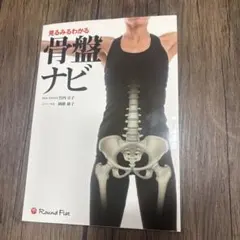 見るみるわかる骨盤ナビ