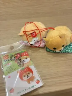 旅するマメしば 栃木アクリルキーホルダー 、柴犬ぬいぐるみセット　3点　未使用
