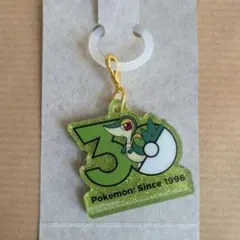 ツタージャ Poké-Charm  ポケモン30周年 ロゴマスコット2 めじるし