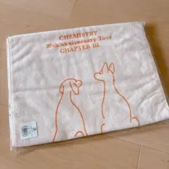 2025年最新】CHEMISTRYタオルの人気アイテム - メルカリ
