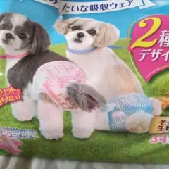 Item thumbnail for item c4faf634-f9ec-48e4-ac3d-a34d14623a0e