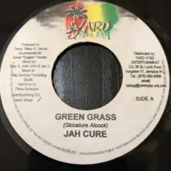 GREEN GRASS／JAH CURE／Mission Riddim レゲエ