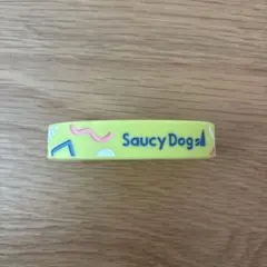 saucy dog ラバーバンド　2025