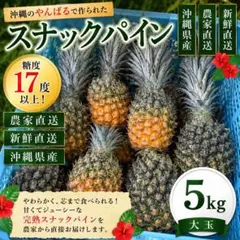 スナックパイン　大玉　5kg（糖度17度以上）のサムネイル