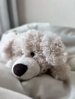 NICI筆箱 犬 ベージュのサムネイル