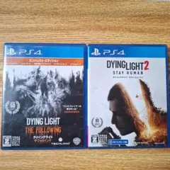 Dying Lightセットで！