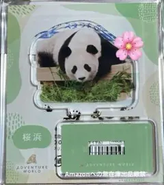 アドベンチャーワールド パンダのシャカシャカキーホルダー 楓浜
