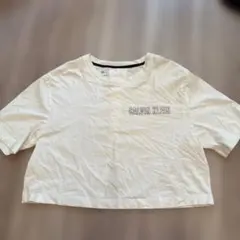 CALVIN KLEIN クロップドTシャツ Ｍ