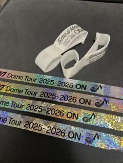 Snow Man Dome Tour 2025-2026 ON 東京ドーム落下物