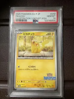 コダックジムプロモ PSA10 #262 GYM PROMO ポケモンカード - メルカリ
