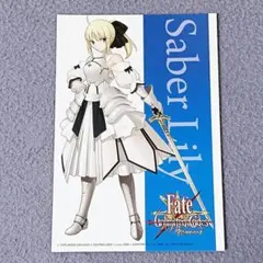 2026年最新】Fate/stay night セイバー・リリィ の人気アイテム - メルカリ