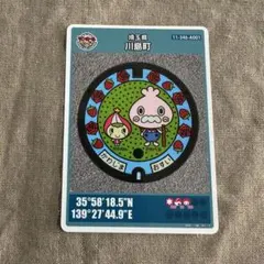 Item thumbnail for item f72fbff5-c159-4075-8f63-9da97d5c5cc8