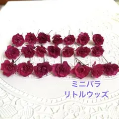 B品 リトルウッズ カラフル ドライフラワー R-705 - メルカリ