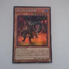 2025年最新】真紅眼の黒竜 シークレットの人気アイテム - メルカリ