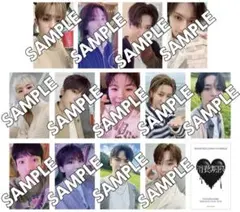 SEVENTEEN 消費期限 会場限定 トレカ 大阪 京セラ コンプセット SEVENTEEN 消費期限 会場限定 トレカ 大阪 京セラ コンプセット 【公式