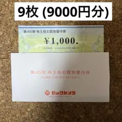 ビックカメラ お買物優待券