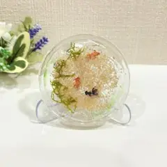 ハンドメイド　レジン　アクセサリートレイ　金魚　小物置き　オブジェクト