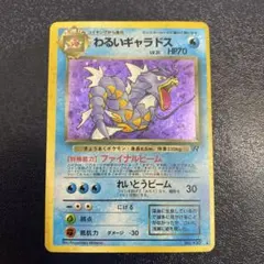 2026年最新】わるいギャラドスの人気アイテム - メルカリ