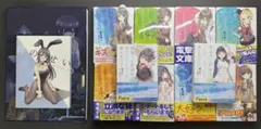 青春ブタ野郎シリーズ SS リーフレット　電撃文庫 超感謝フェア 2016 青春ブタ野郎シリーズ SS リーフレット 電撃文庫 超感謝フェア 2016