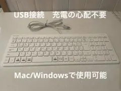 ELECOM USB接続 日本語配列キーボード ホワイト TK-FCP097WH