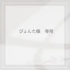 ぴょんた様　専用出品