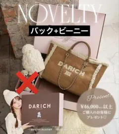 Darich ダーリッチ ノベルティ 9周年 バッグ ビーニー