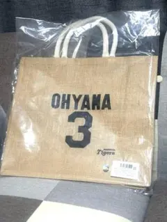 Item thumbnail for item 57d7aa6f-24dc-4e16-bdea-ce7d04eef21b